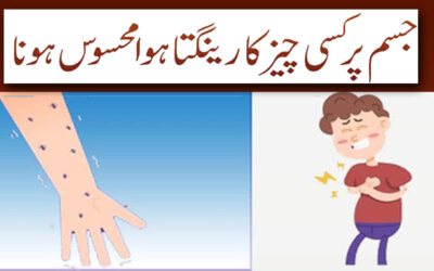 Jism Par Kisi Chyez Ka Reengta Mehsoos Hona