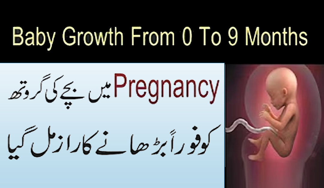 Facts Of Baby Growth From 0 To 9 Months