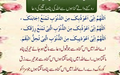 Rizq Aur Dua Ko Rokne Wale Gunahon Se Bachna
