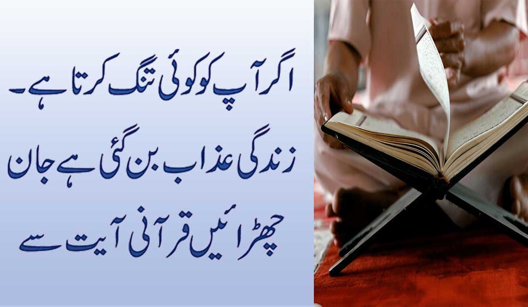 Bure Logo Se Hifazat