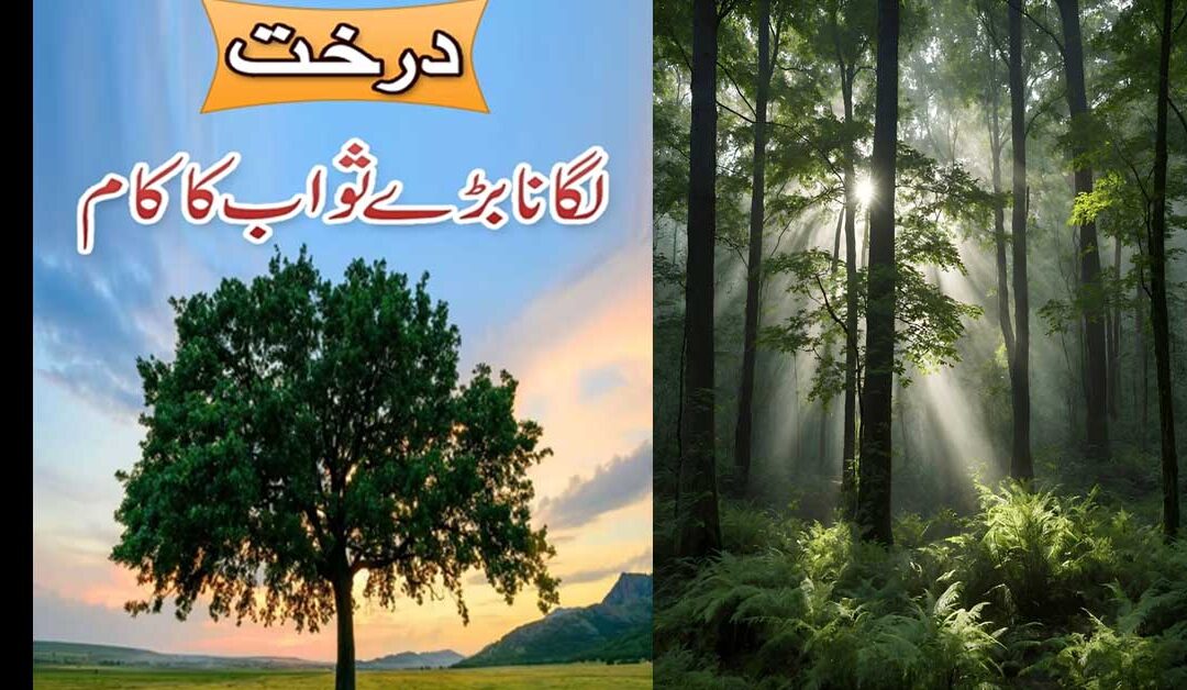 Darakht Lagane Ka Sawab | Tree Plantation