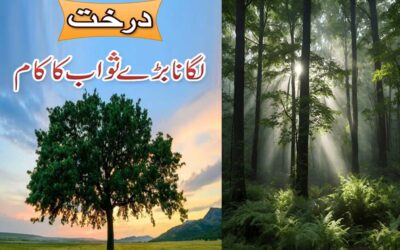 Darakht Lagane Ka Sawab | Tree Plantation
