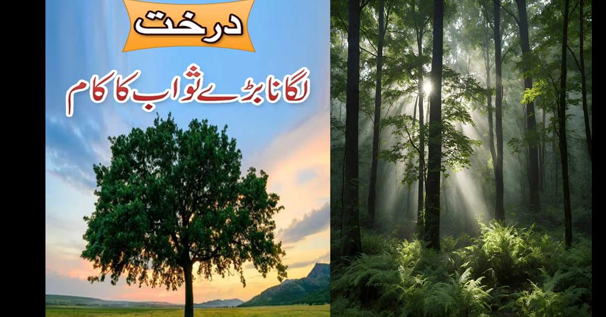 Darakht Lagana Bary Sawab Ka Kaam