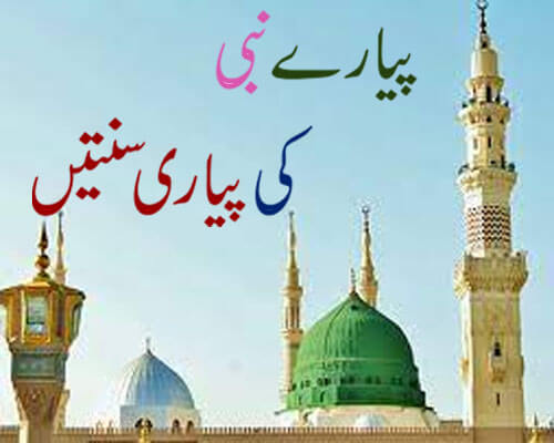 Pyare Nabi Ki Pyari Sunnatain