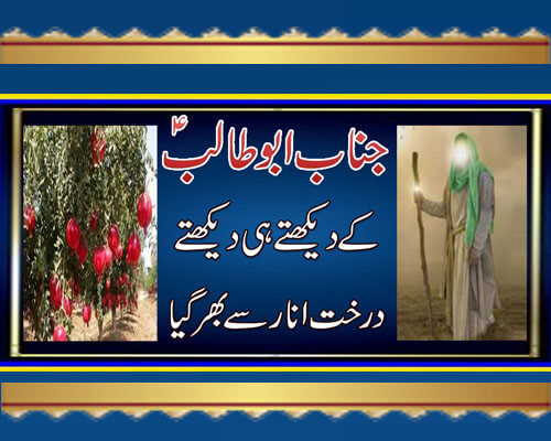 Hazrat Abu Talib Ka Waqiya
