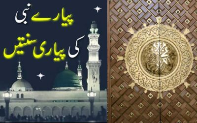 Sunnat e Rasool (SAW) In Urdu