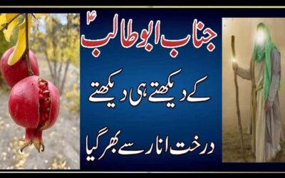Hazrat Abu Talib Ka Waqia | Jannat Se Phal Ana