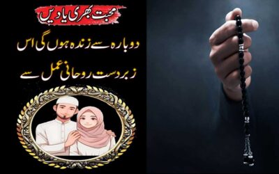 Mohabbat Bhari Yaadein Dobara Se Zinda Hoon Gi