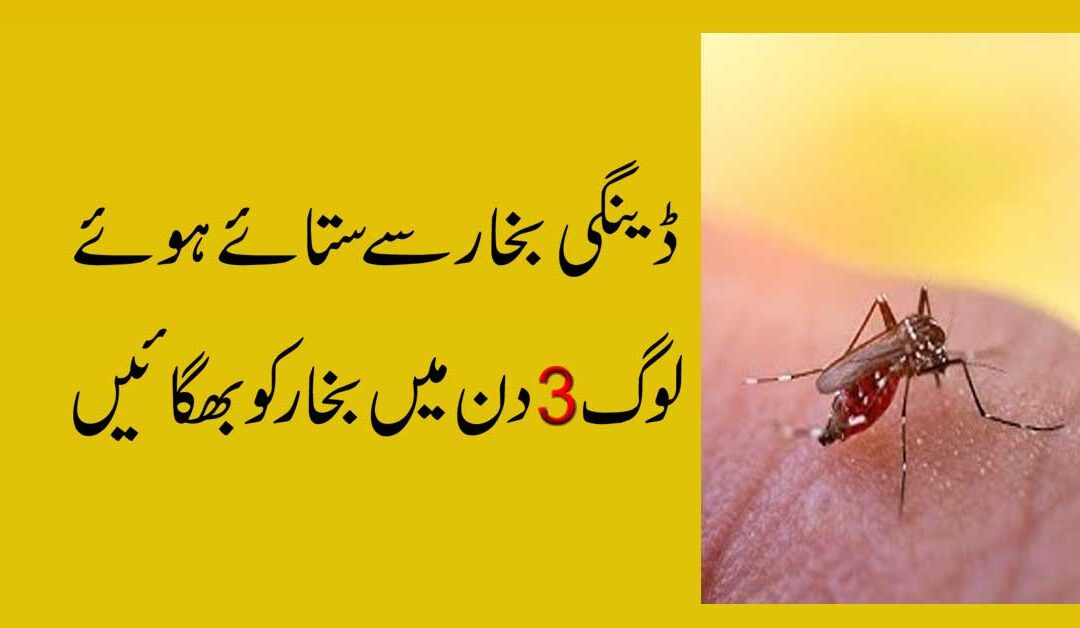 Dengue Se Bachne Ka Naqsh