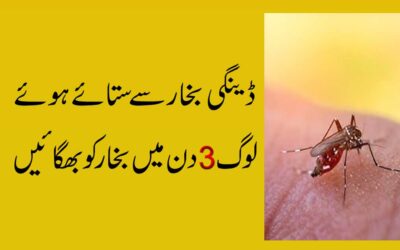 Dengue Se Bachne Ka Naqsh