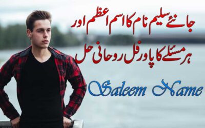 Saleem Name Meaning In Urdu