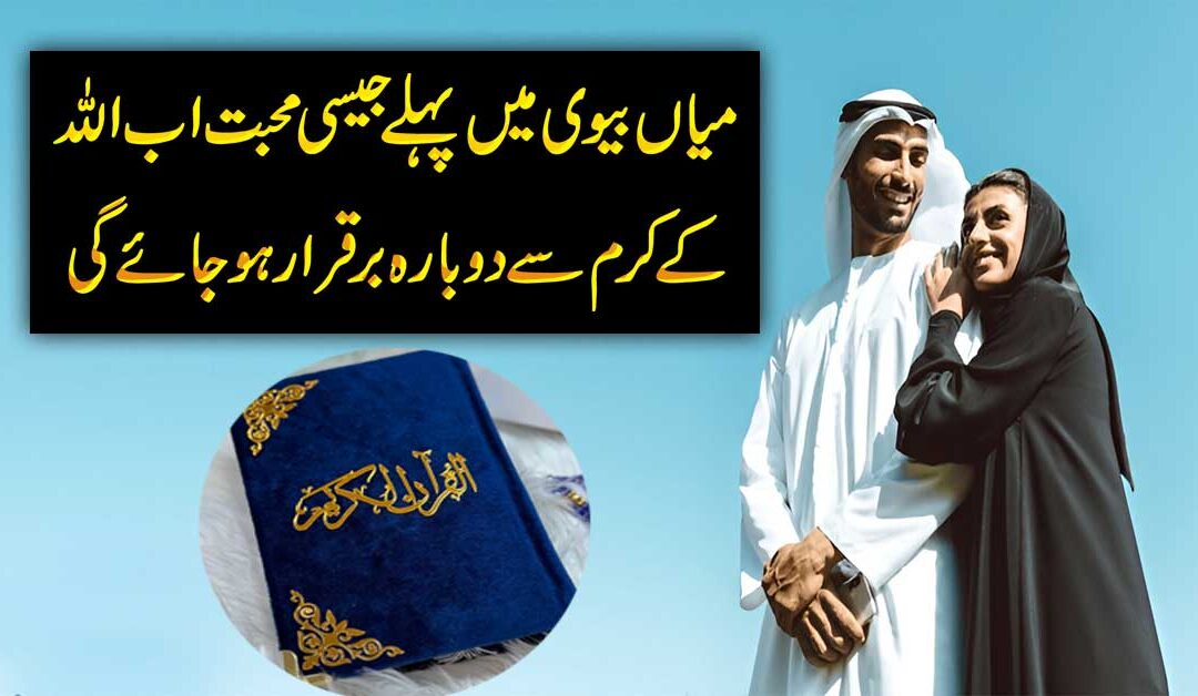 Mian Biwi Mein Mohabbat Ka Naqsh